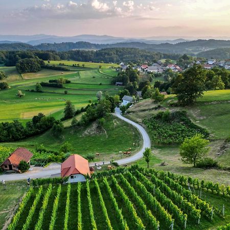 Vineyard Cottage Krivic Trebelno Zewnętrze zdjęcie