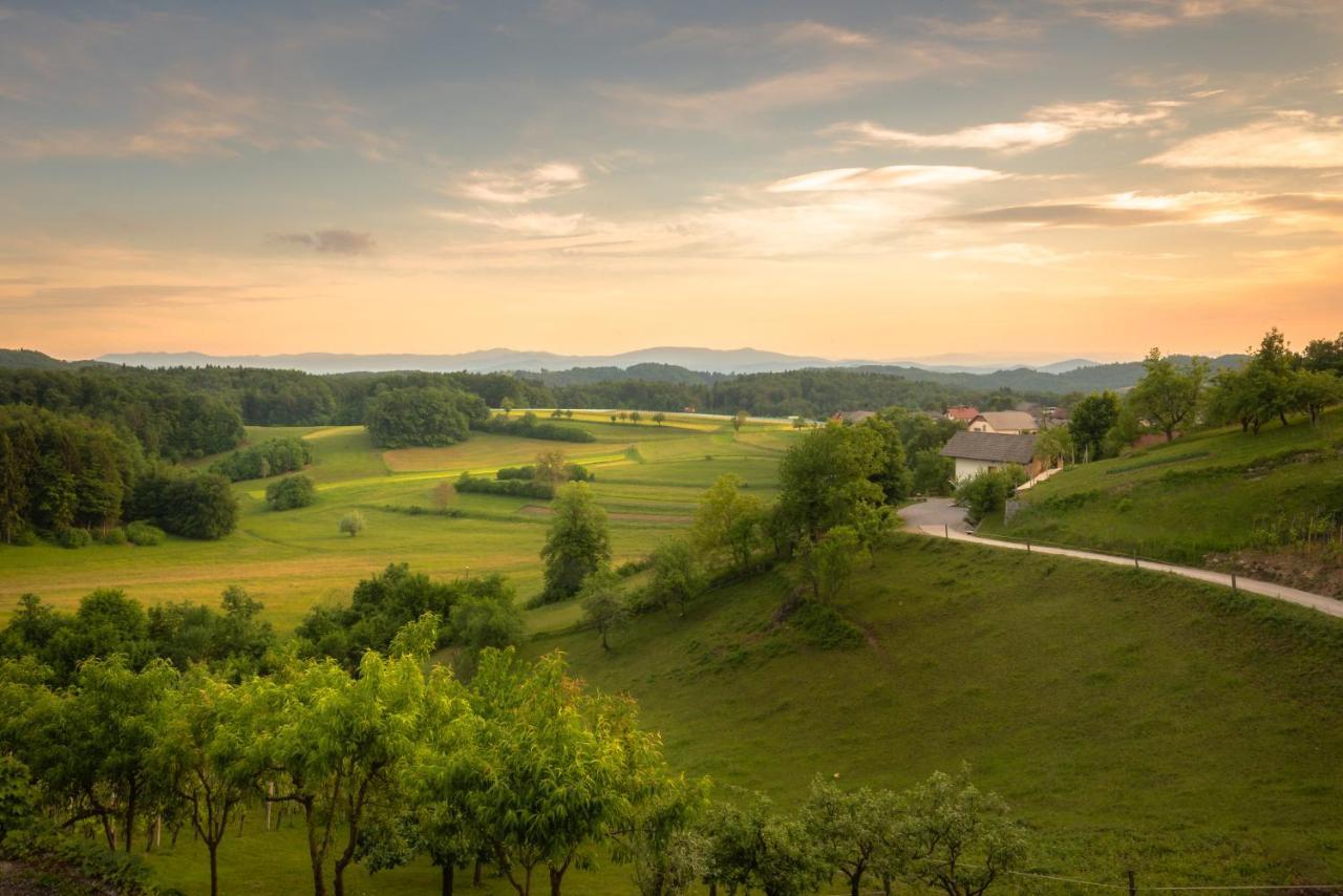 Vineyard Cottage Krivic Trebelno Zewnętrze zdjęcie