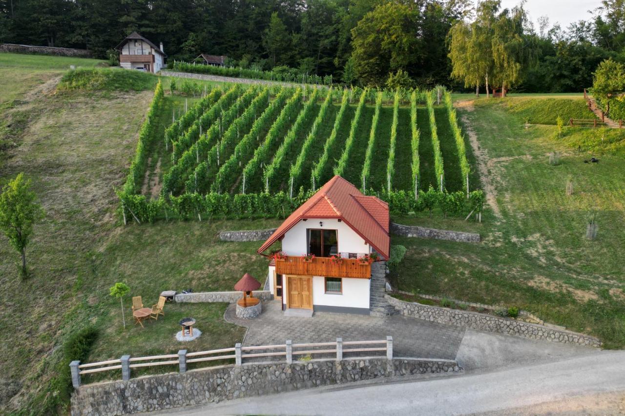 Vineyard Cottage Krivic Trebelno Zewnętrze zdjęcie