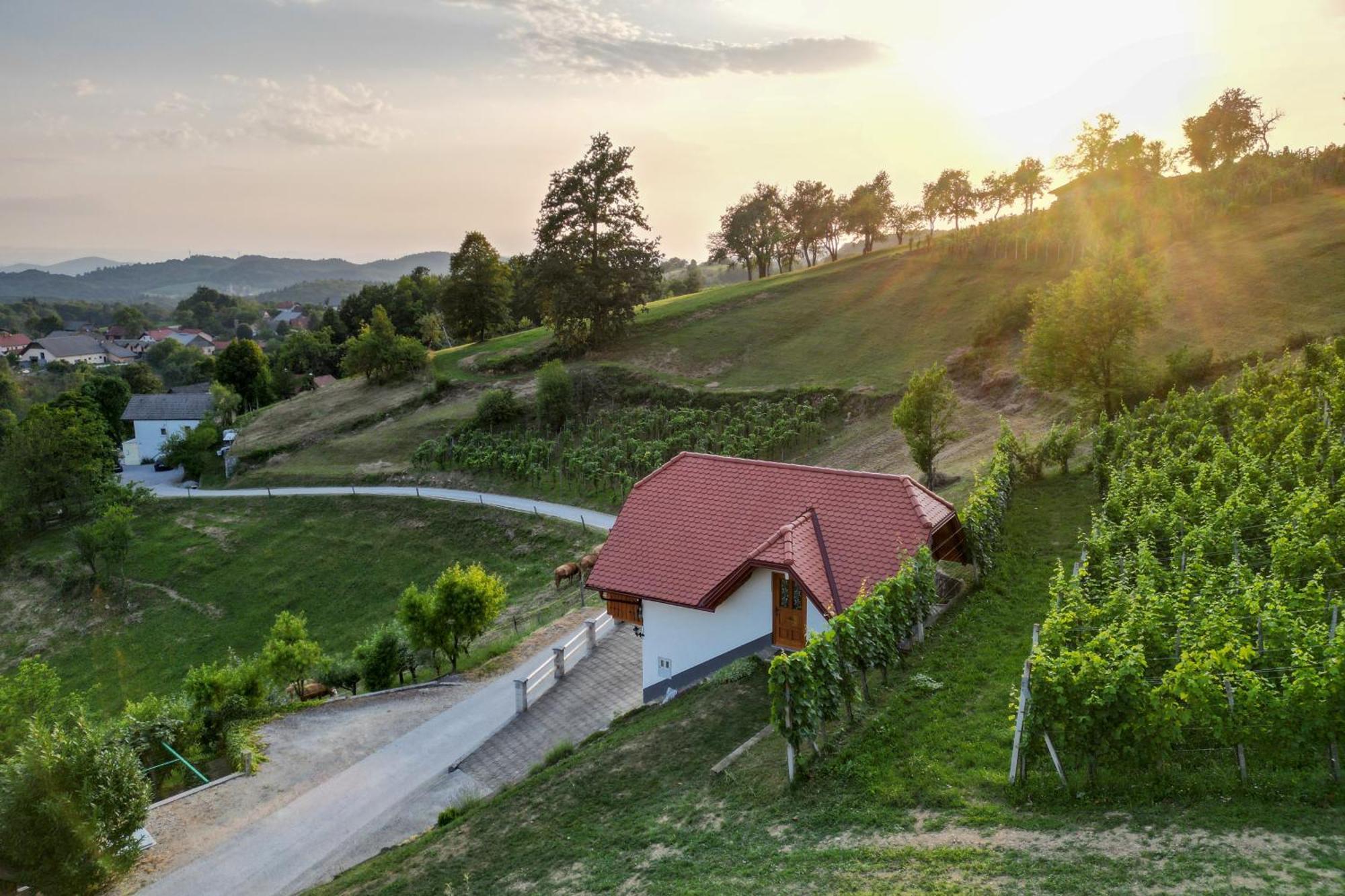 Vineyard Cottage Krivic Trebelno Zewnętrze zdjęcie