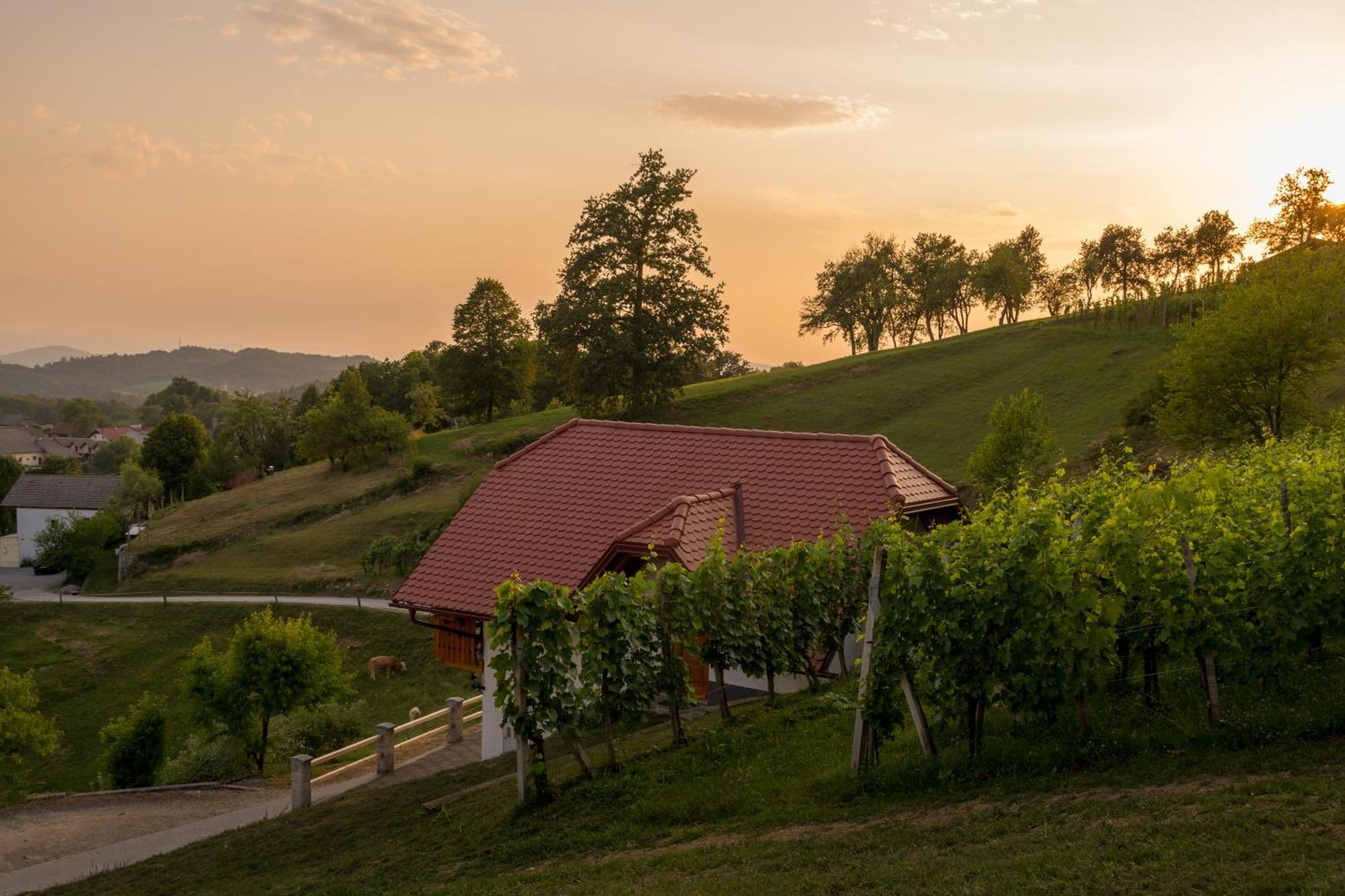 Vineyard Cottage Krivic Trebelno Zewnętrze zdjęcie
