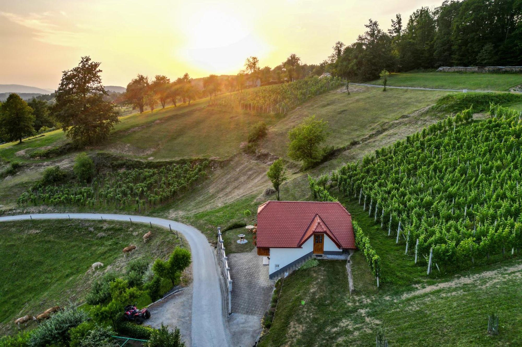 Vineyard Cottage Krivic Trebelno Zewnętrze zdjęcie