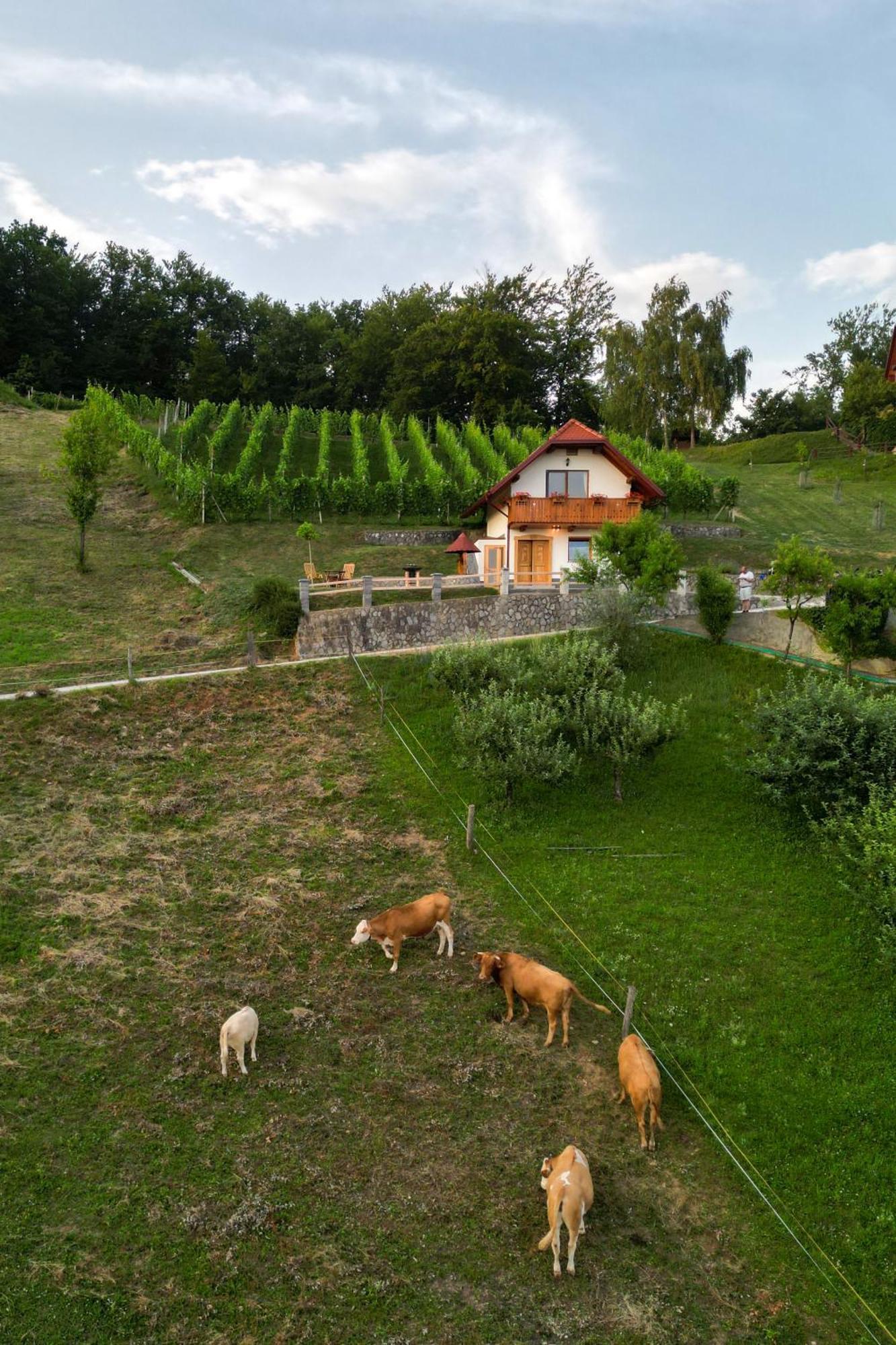 Vineyard Cottage Krivic Trebelno Zewnętrze zdjęcie