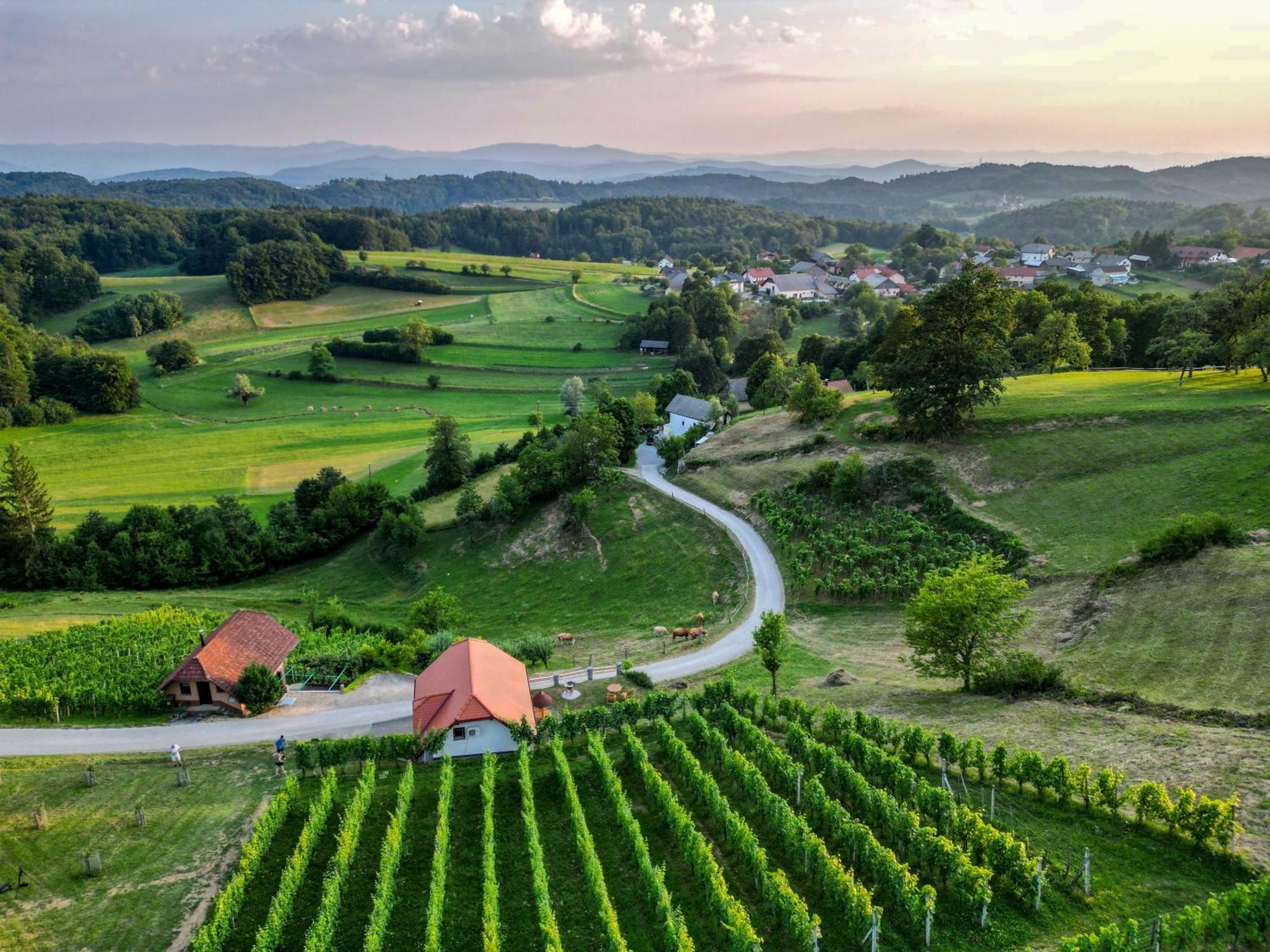 Vineyard Cottage Krivic Trebelno Zewnętrze zdjęcie
