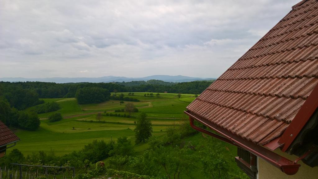Vineyard Cottage Krivic Trebelno Zewnętrze zdjęcie