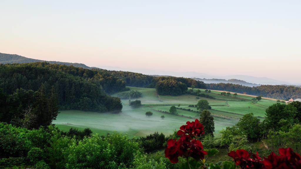 Vineyard Cottage Krivic Trebelno Zewnętrze zdjęcie